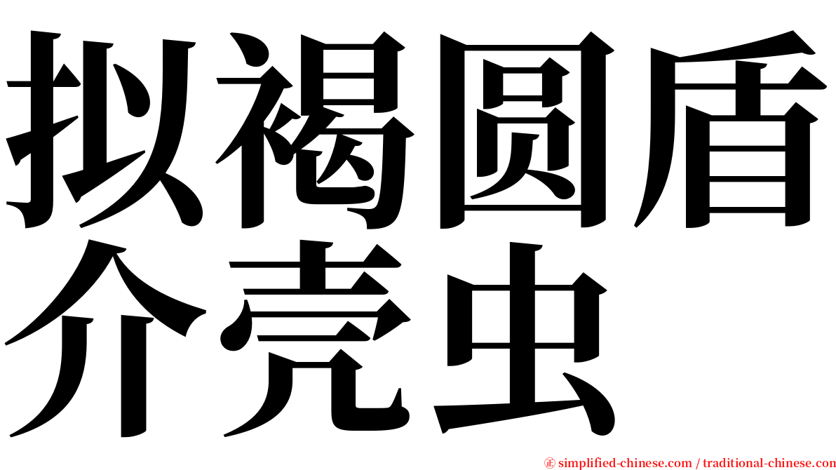 拟褐圆盾介壳虫 serif font
