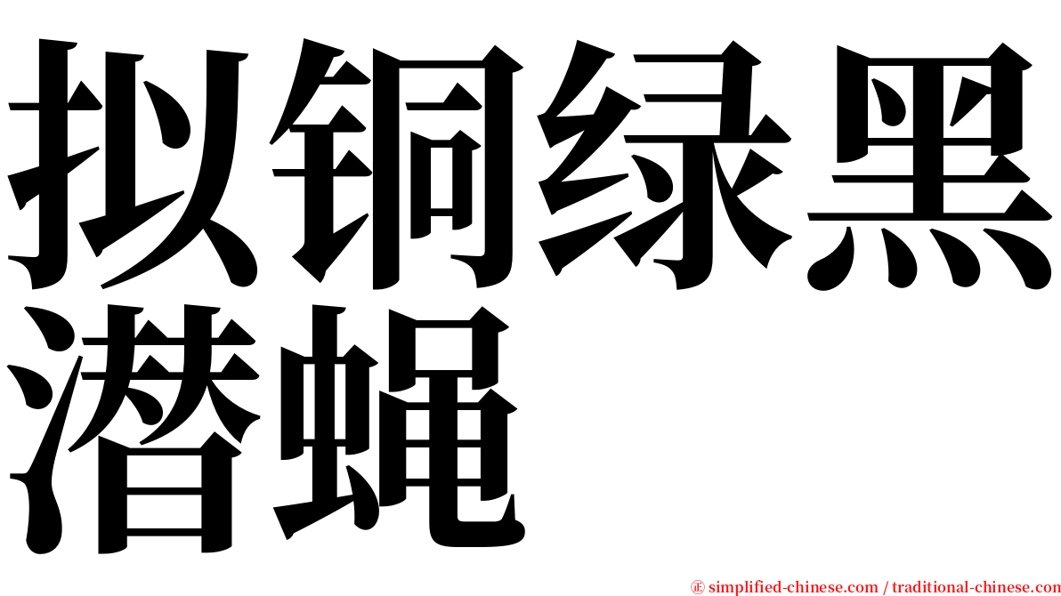 拟铜绿黑潜蝇 serif font