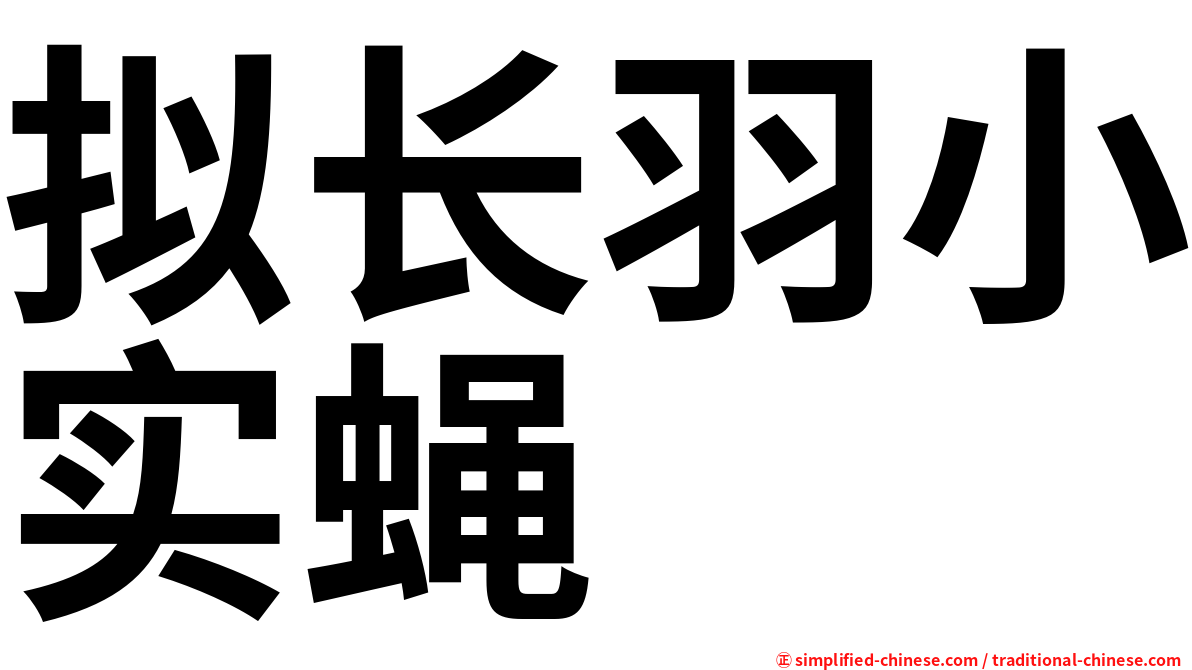 拟长羽小实蝇