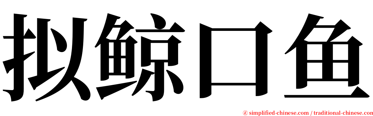 拟鲸口鱼 serif font