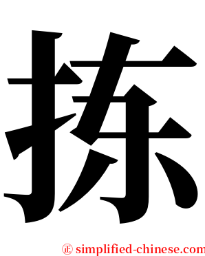 拣 serif font
