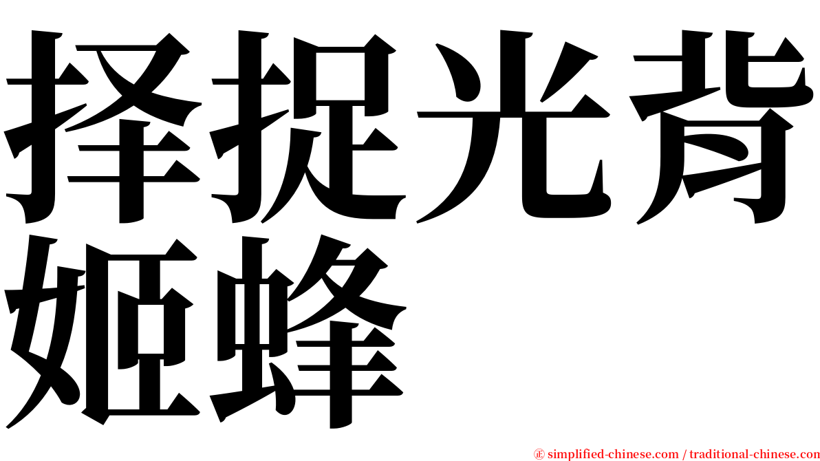 择捉光背姬蜂 serif font