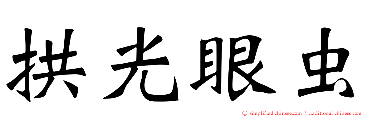 拱光眼虫