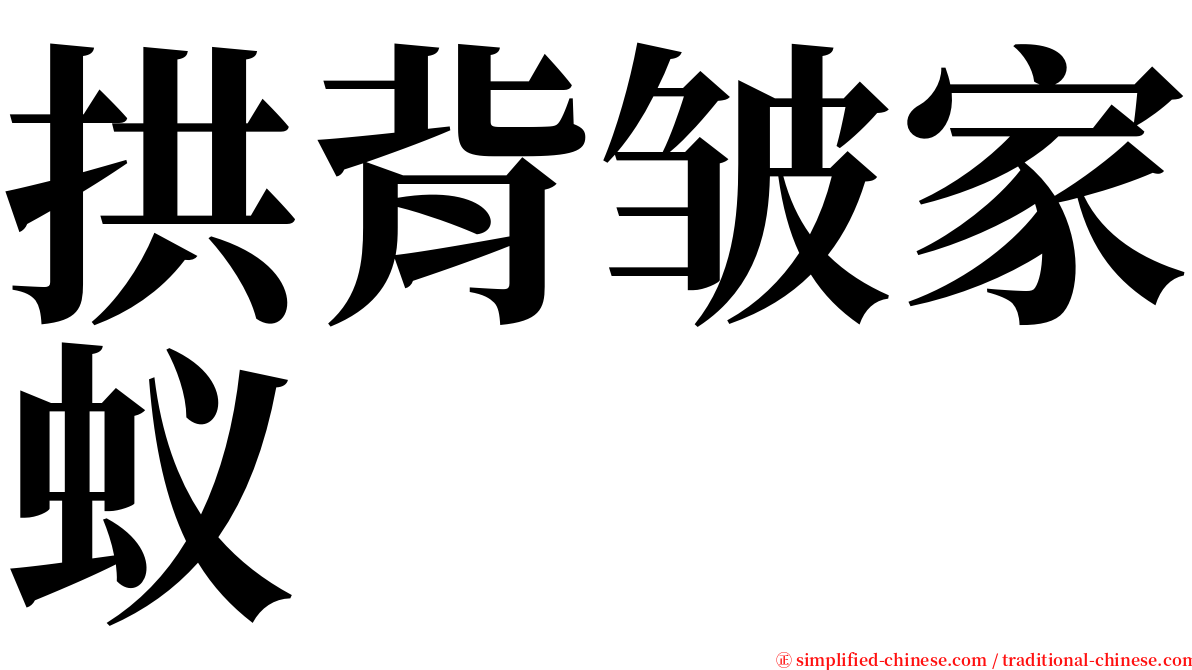 拱背皱家蚁 serif font