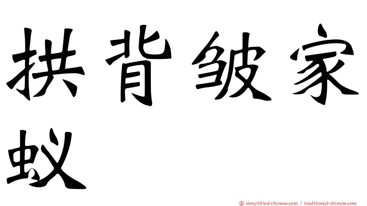 拱背皱家蚁