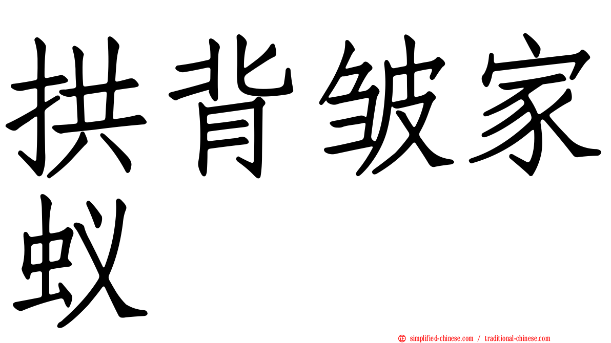 拱背皱家蚁