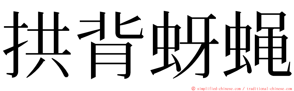 拱背蚜蝇 ming font