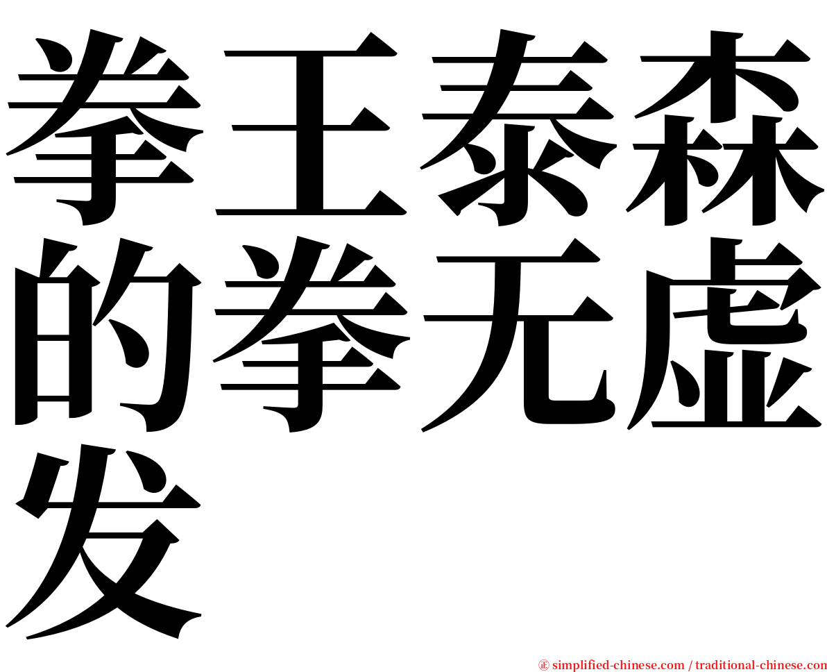 拳王泰森的拳无虚发 serif font