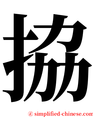 拹 serif font