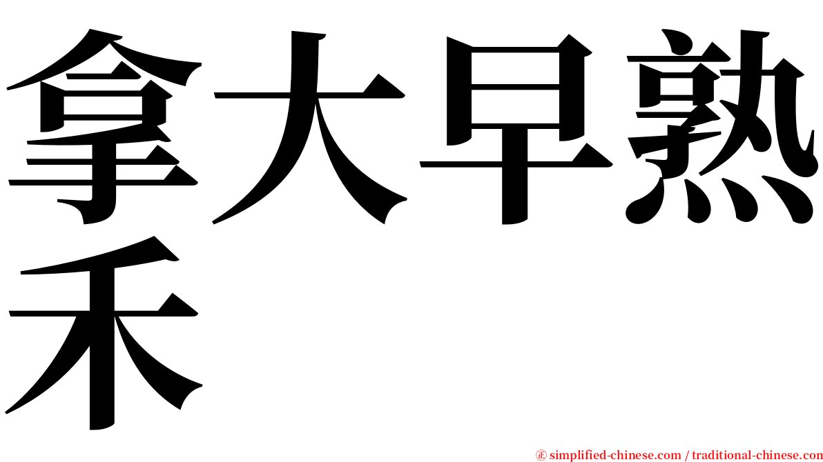 拿大早熟禾 serif font