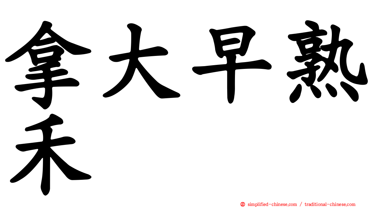拿大早熟禾
