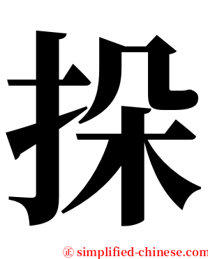 挆 serif font
