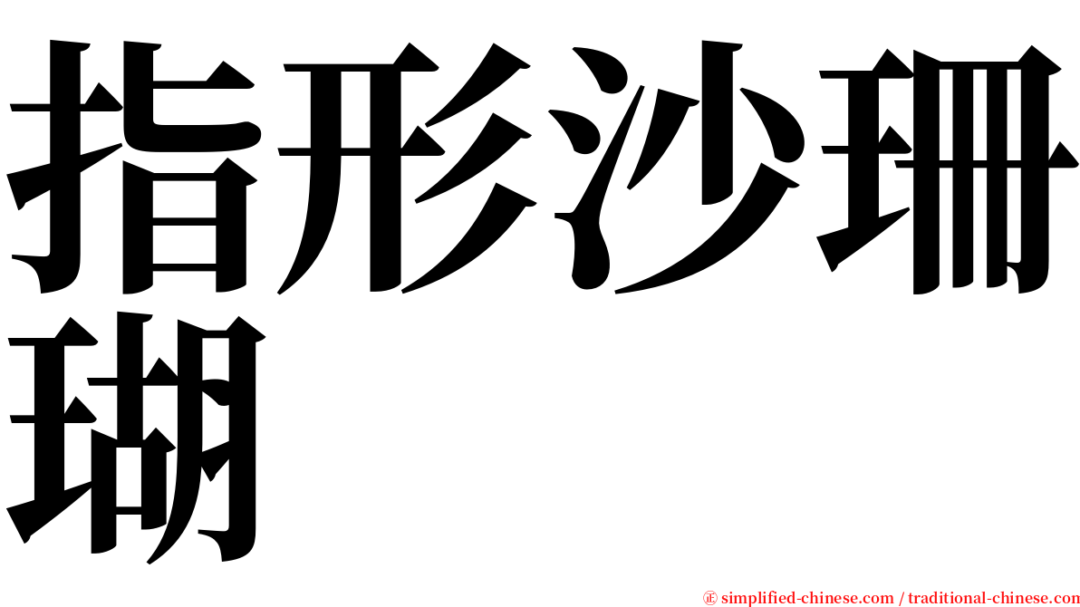 指形沙珊瑚 serif font