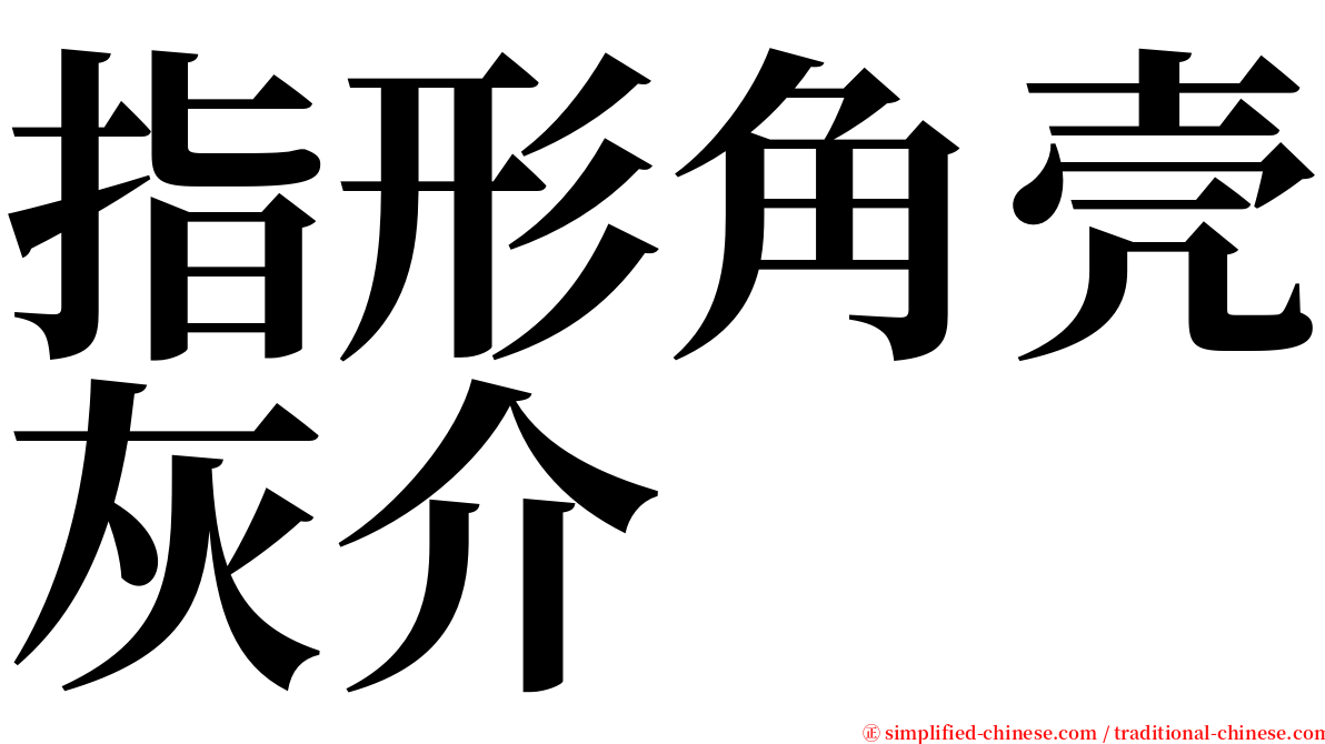 指形角壳灰介 serif font