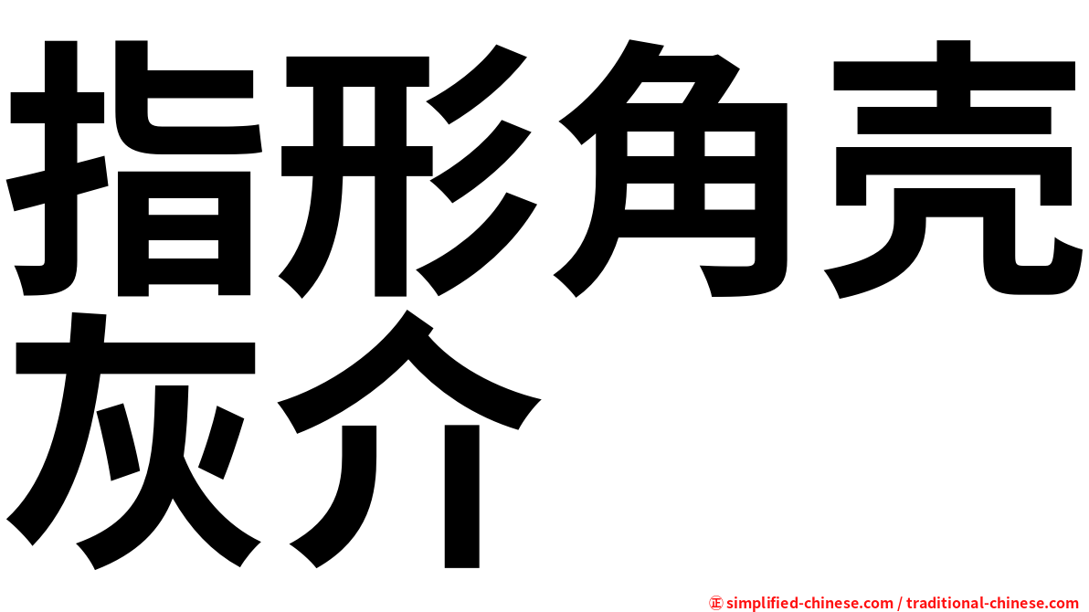 指形角壳灰介