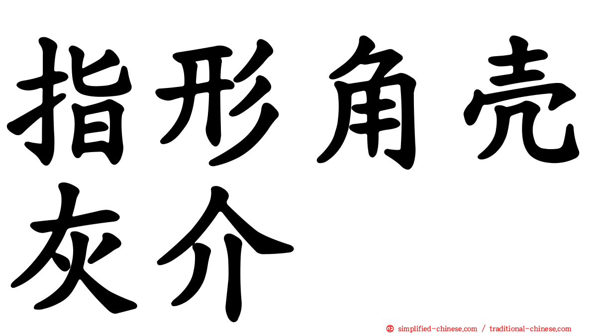 指形角壳灰介