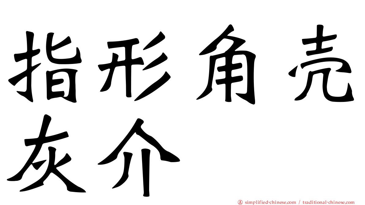 指形角壳灰介