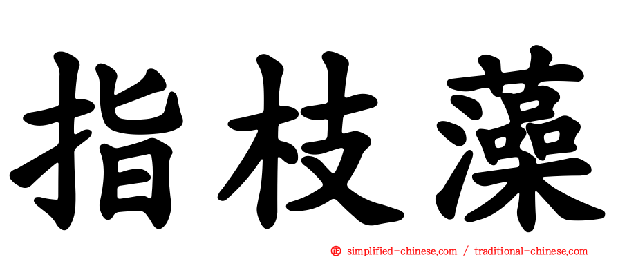 指枝藻