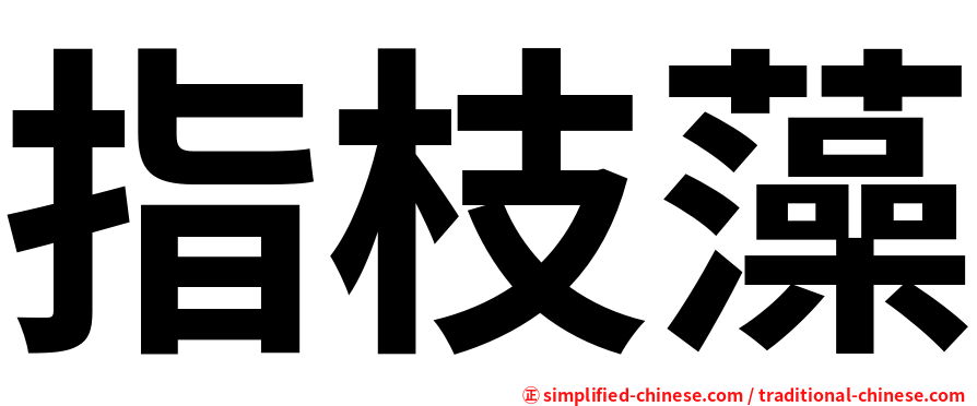 指枝藻