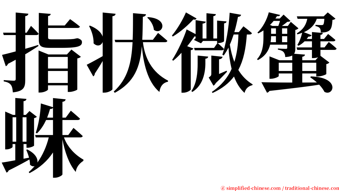 指状微蟹蛛 serif font