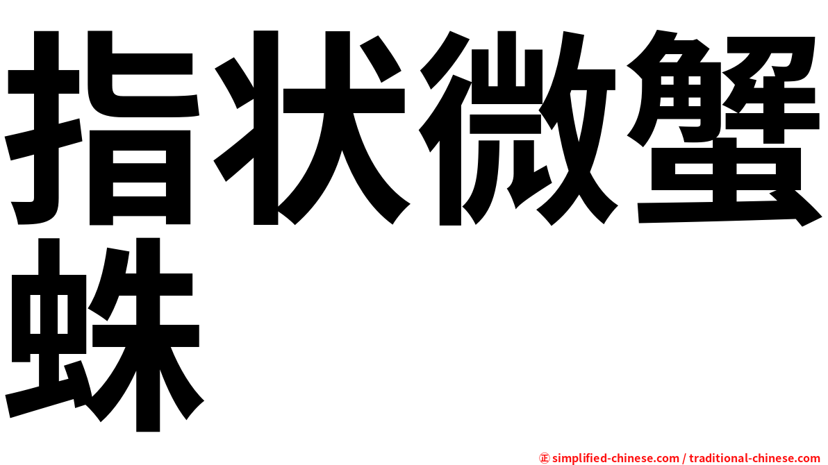 指状微蟹蛛