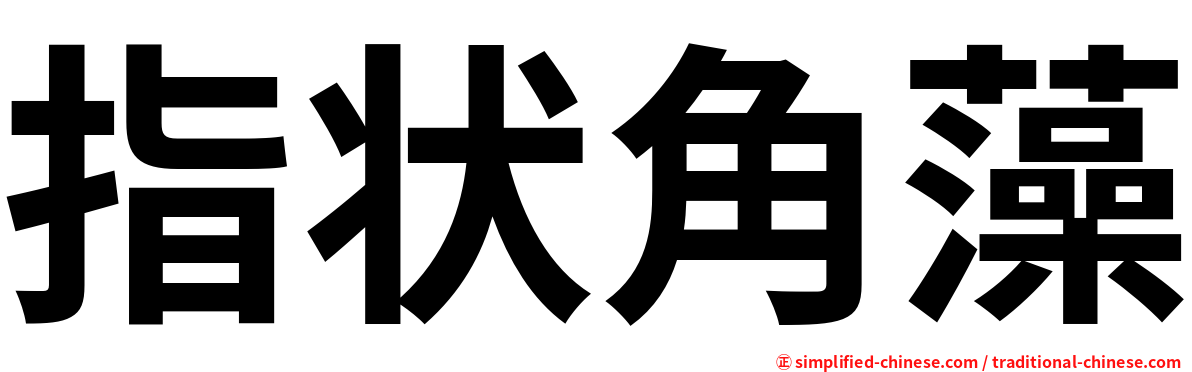 指状角藻
