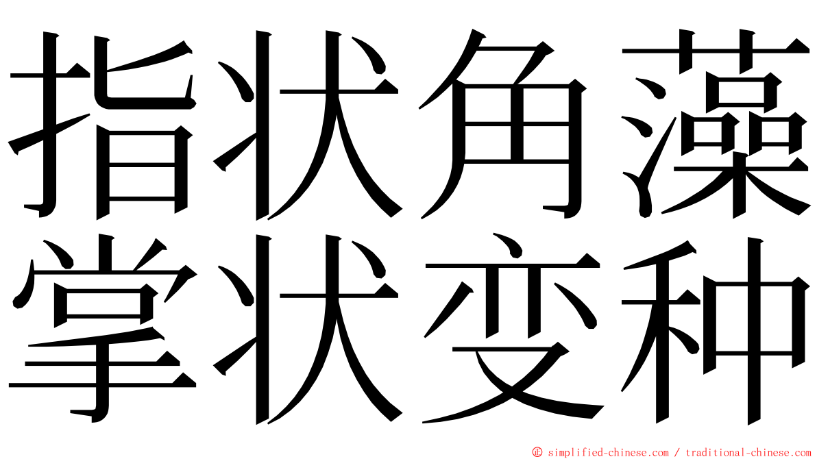 指状角藻掌状变种 ming font