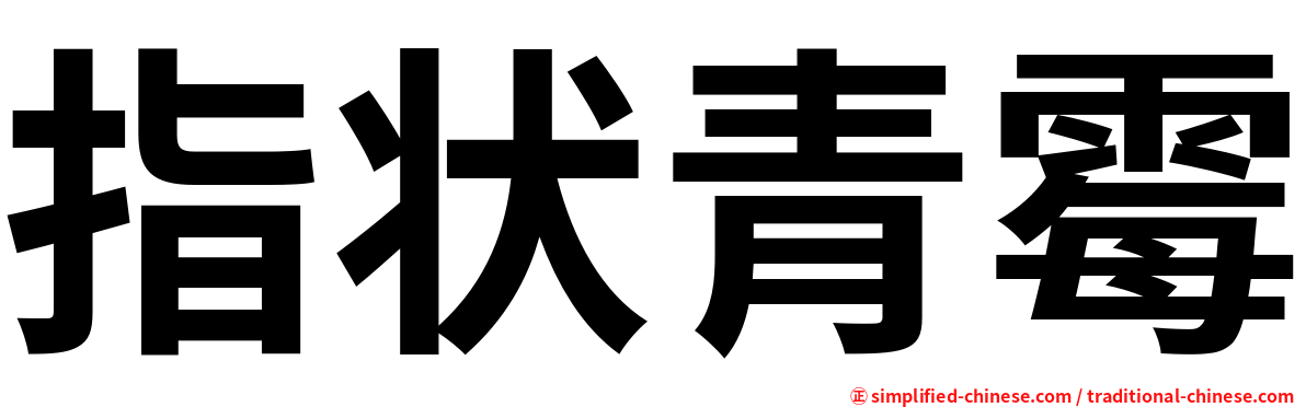指状青霉