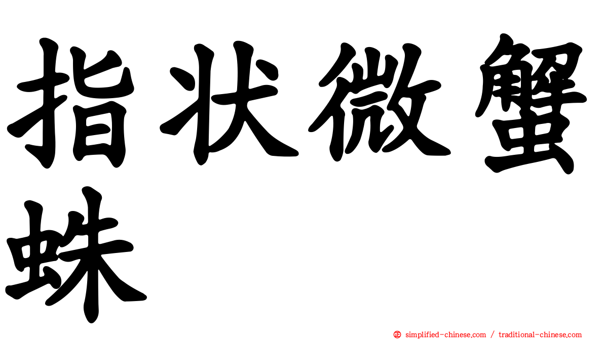 指状微蟹蛛