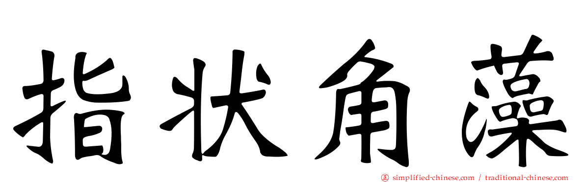 指状角藻