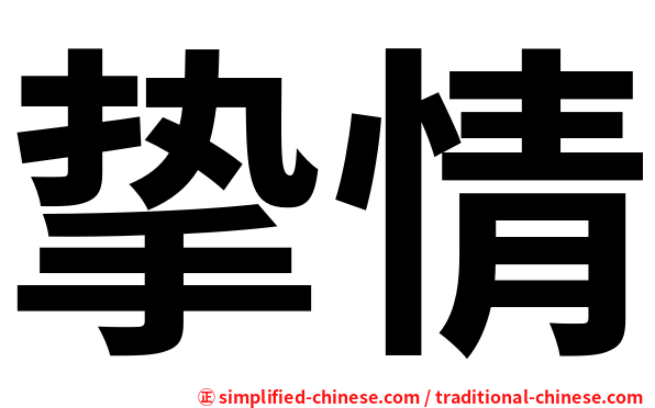 挚情