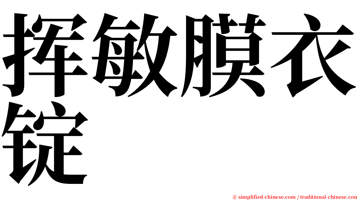 挥敏膜衣锭 serif font