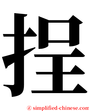 挰 serif font