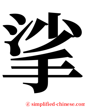 挲 serif font
