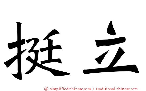 挺立