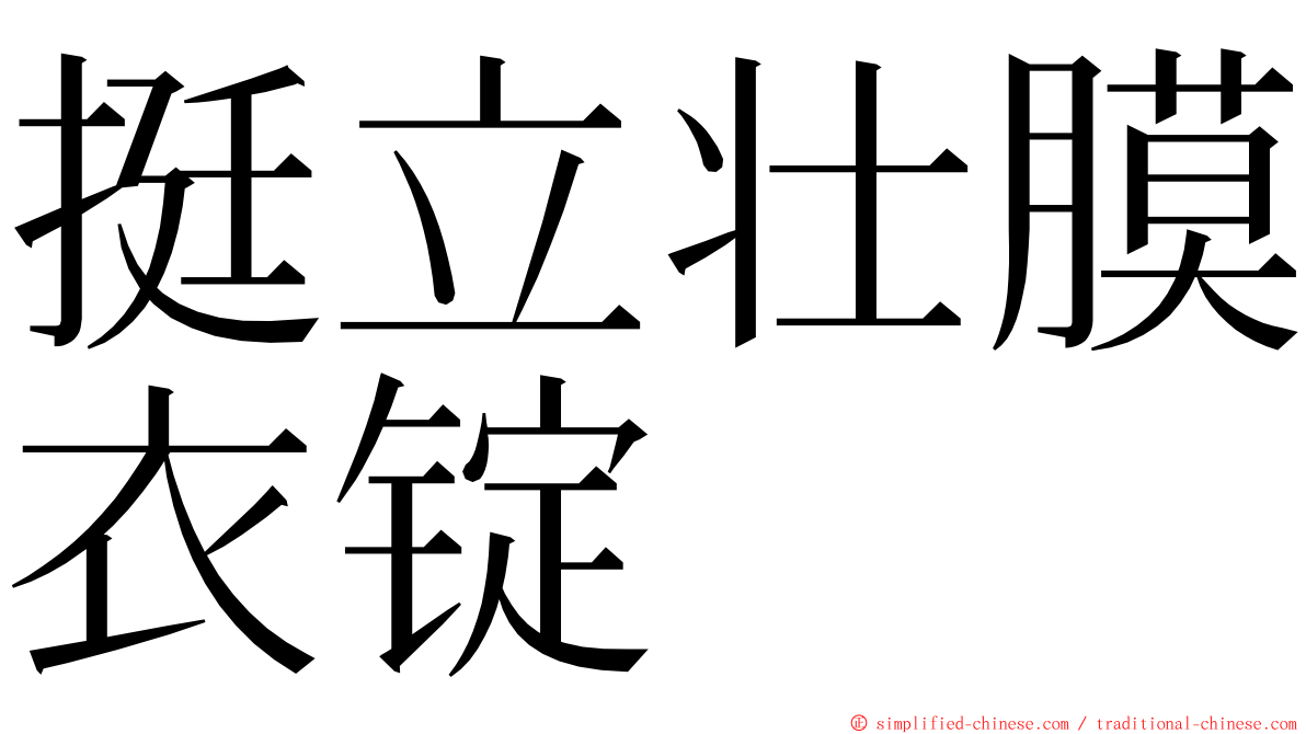挺立壮膜衣锭 ming font