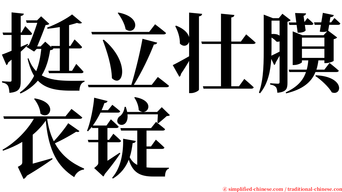挺立壮膜衣锭 serif font