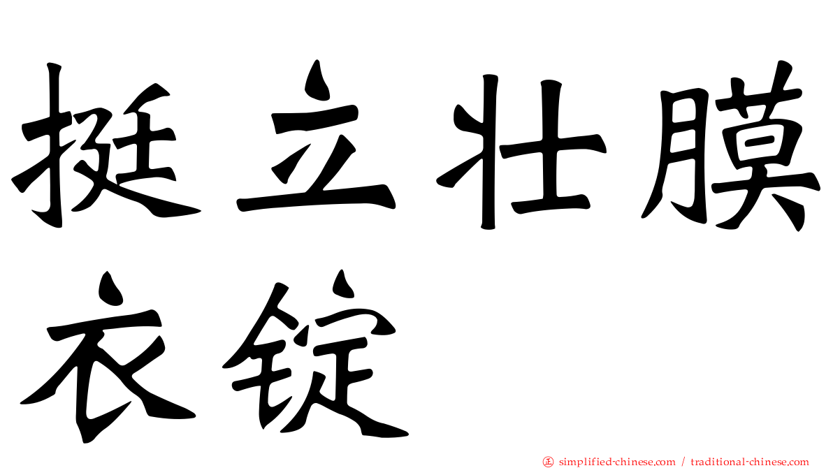 挺立壮膜衣锭