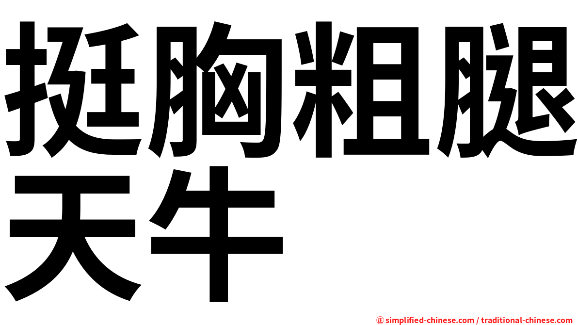 挺胸粗腿天牛