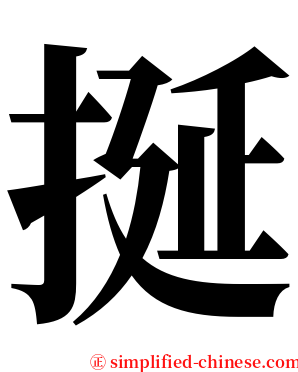 挻 serif font