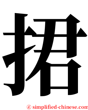 捃 serif font