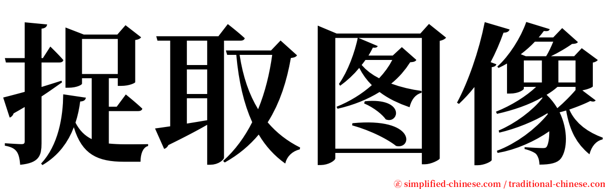 捉取图像 serif font