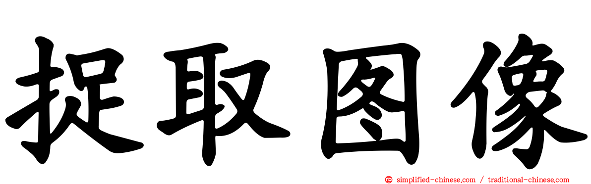 捉取图像