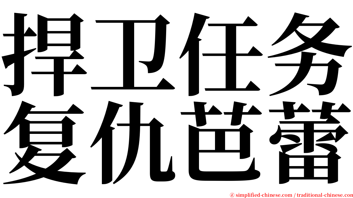 捍卫任务复仇芭蕾 serif font