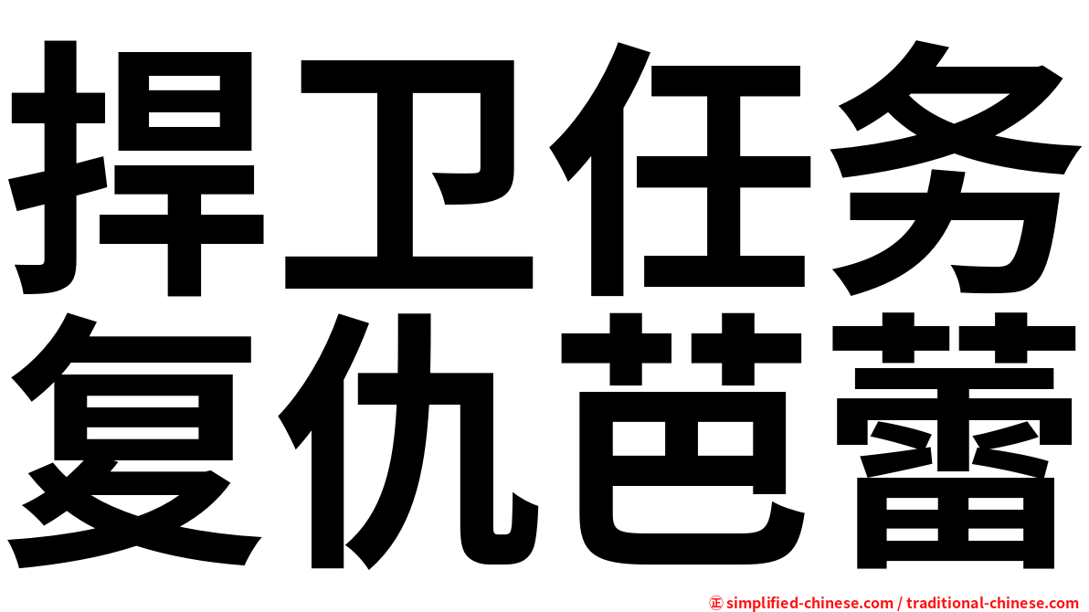 捍卫任务复仇芭蕾