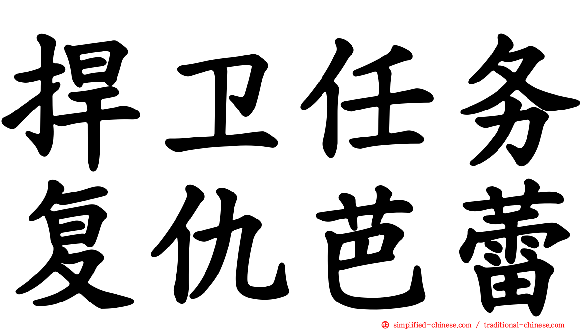 捍卫任务复仇芭蕾