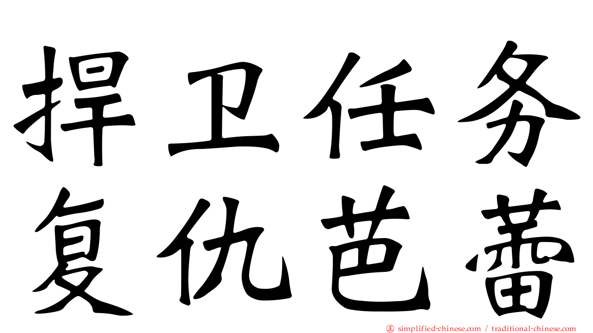 捍卫任务复仇芭蕾