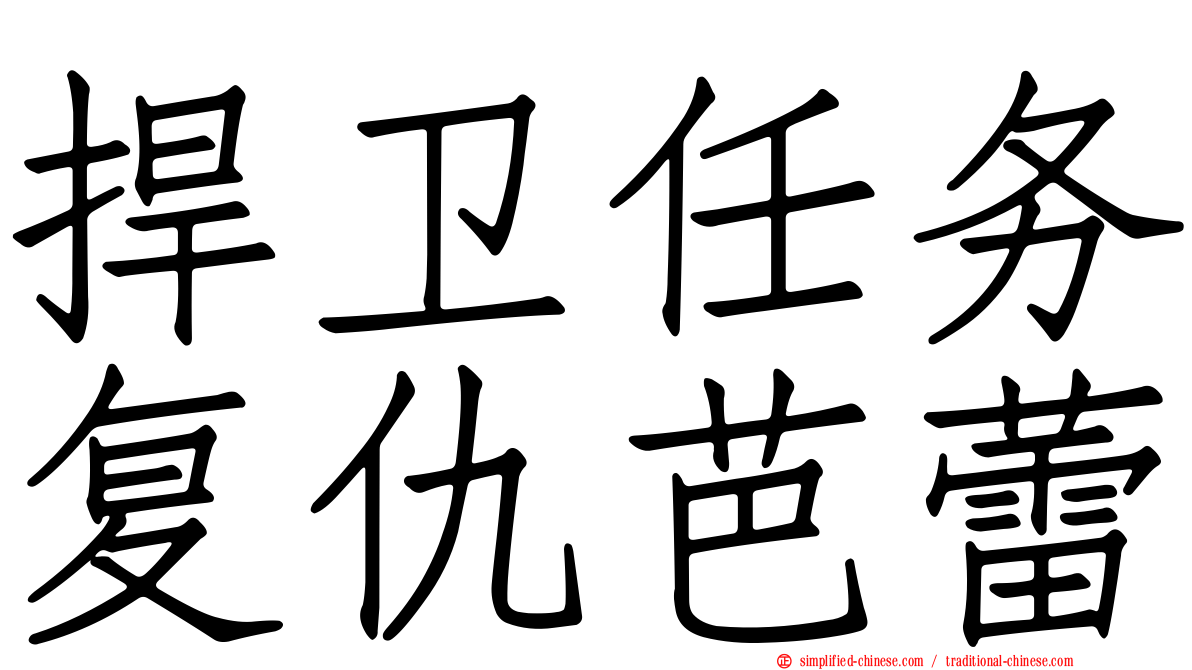 捍卫任务复仇芭蕾