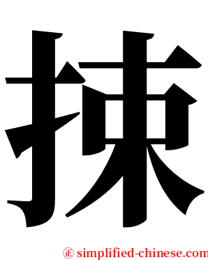 捒 serif font
