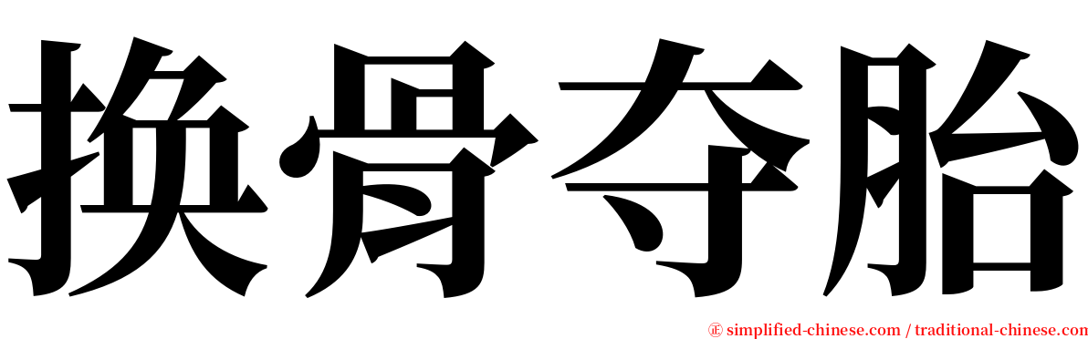 换骨夺胎 serif font